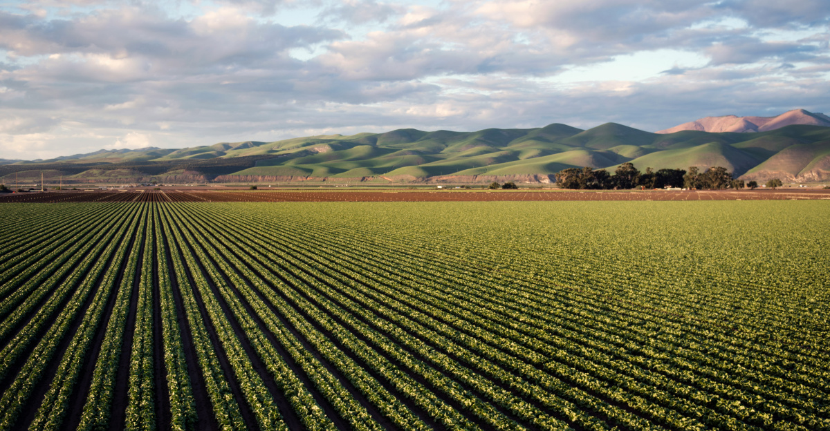 green grass field near mountain