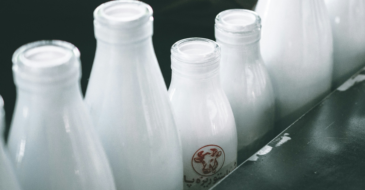 photo of milk bottle lot