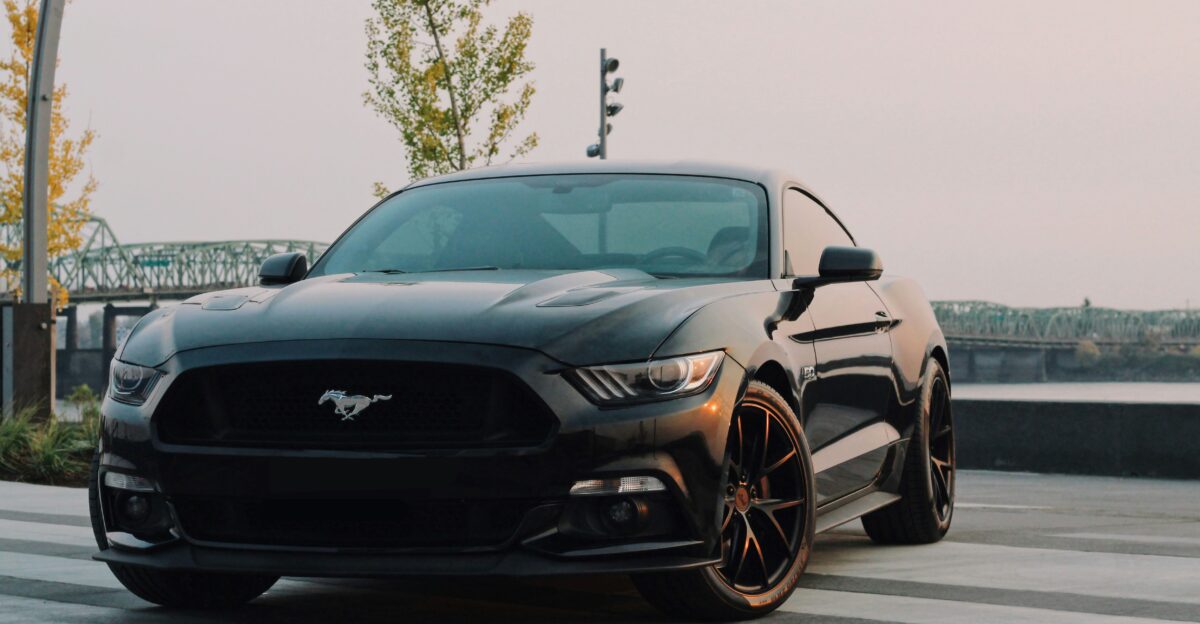 black Ford Mustang coupe parked near green tree
