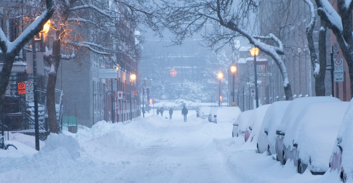 snow covers cars parked on road side