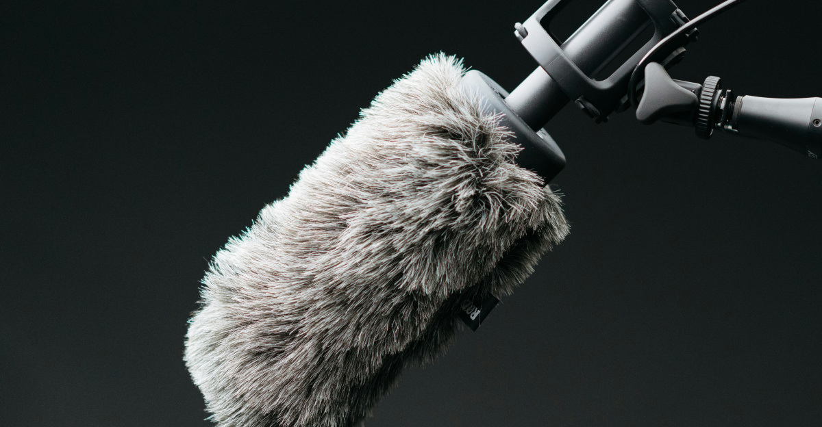 gray microphone with filter