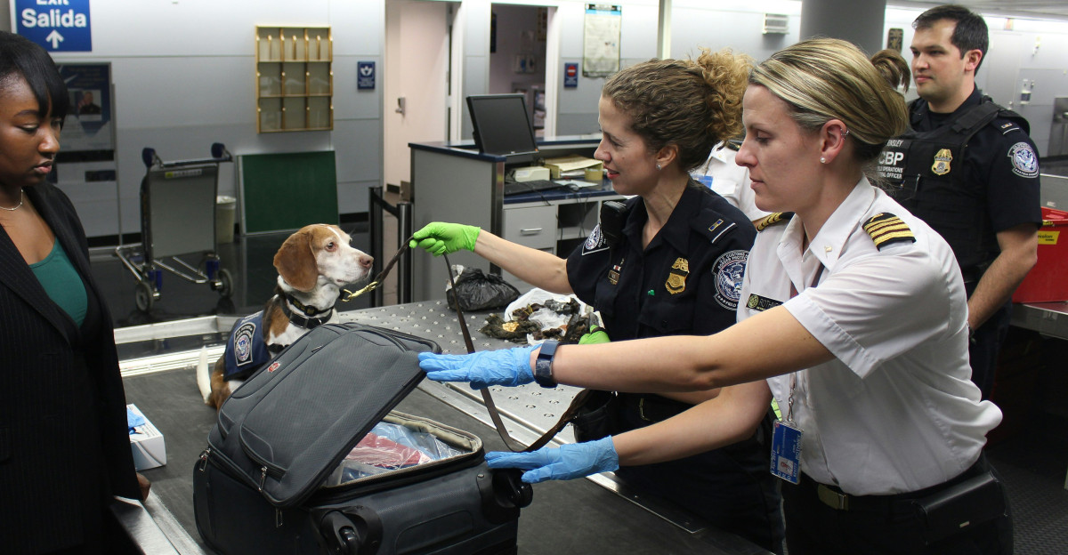 woman in black crew neck t-shirt standing beside woman in white t-shirt