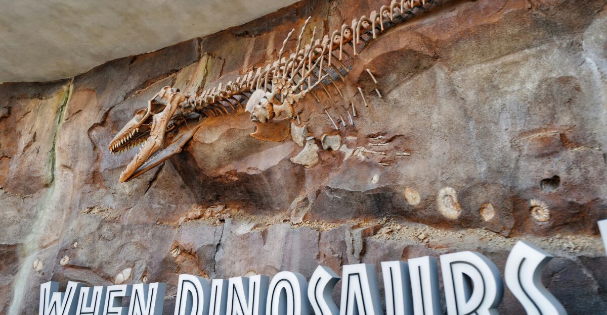 happy st patricks day