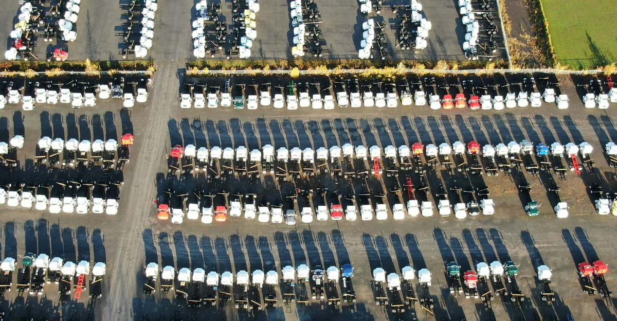 black and brown wooden chess piece on green grass field