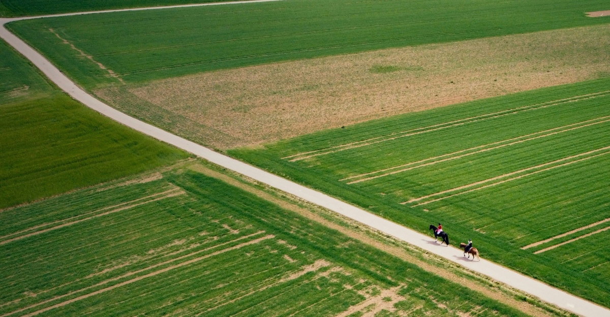person in black shirt walking on green field during daytime