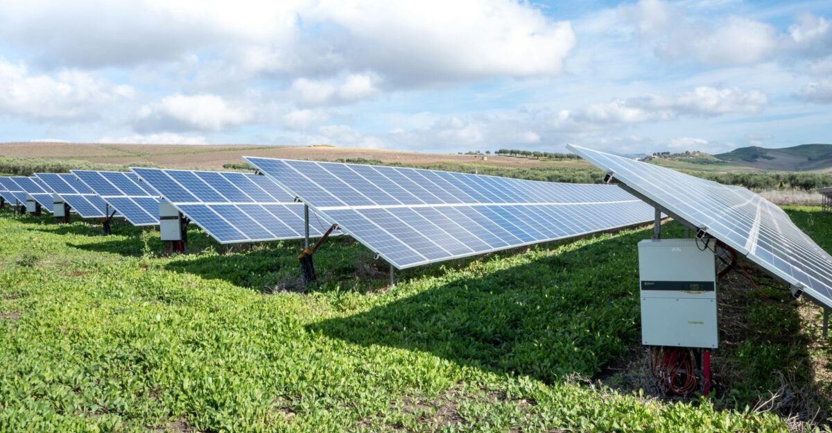 blue solar panels on green grass field under white clouds and blue sky during daytime