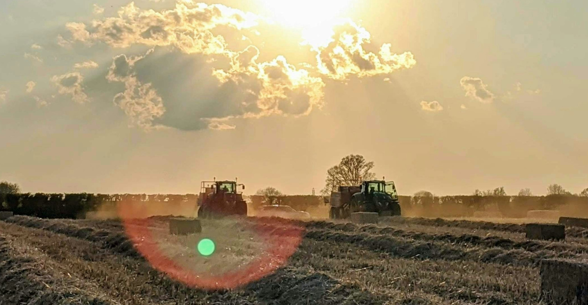 brown field under blue sky during daytime