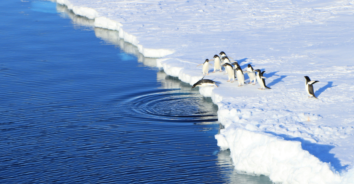 people surfing on sea waves during daytime