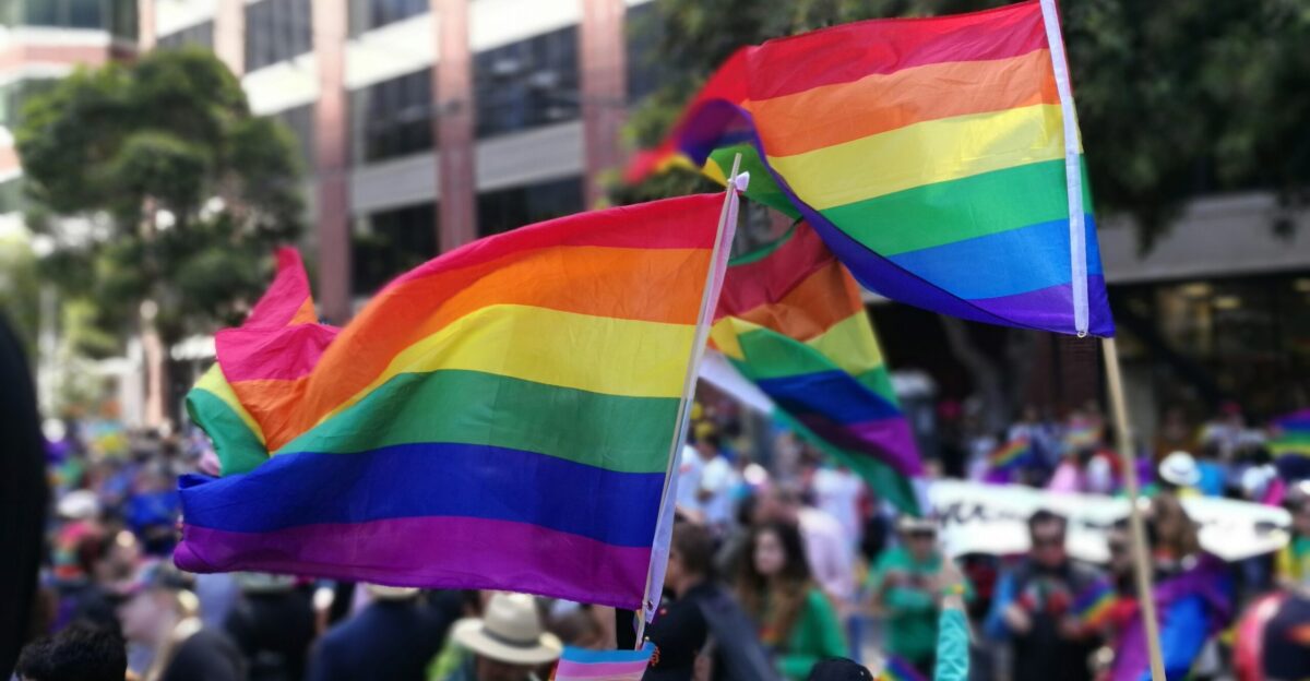 people holding flags during daytime