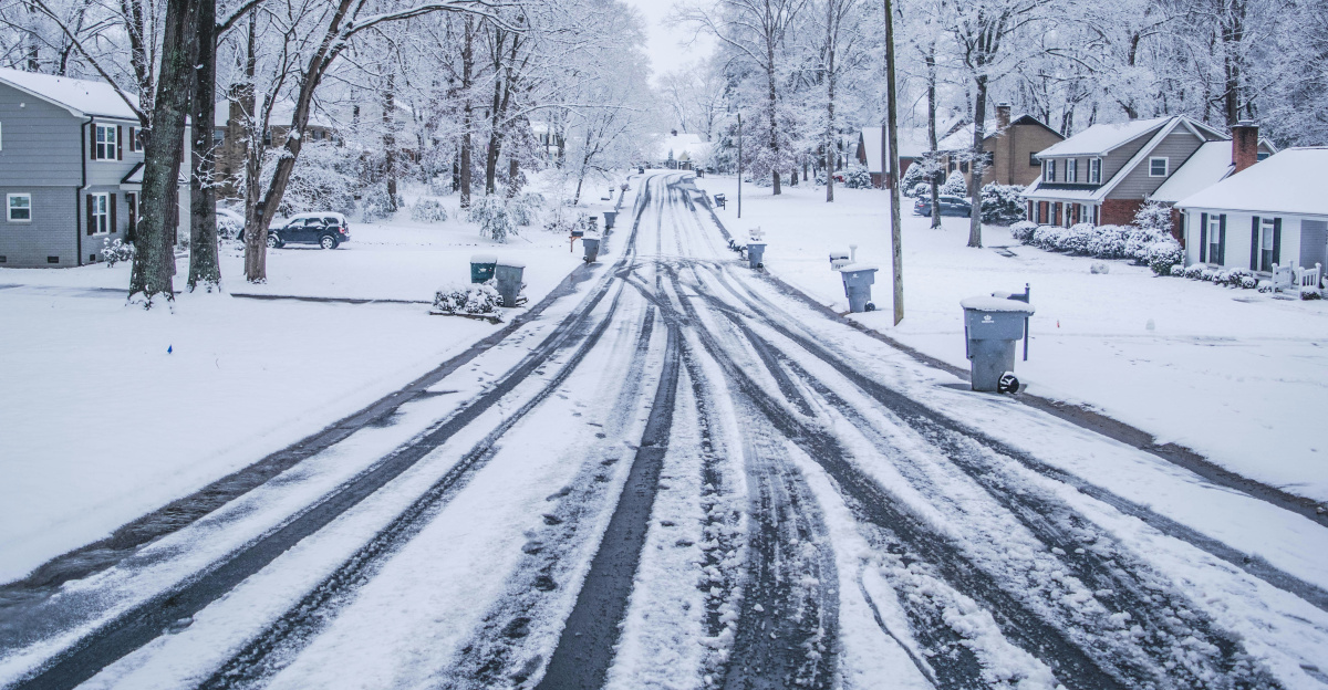 snow covered road between bare trees during daytime