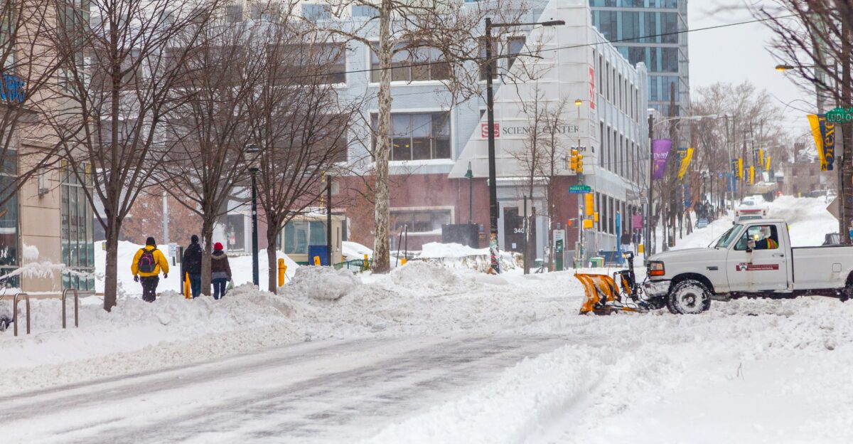 cars on road near bare trees during daytime