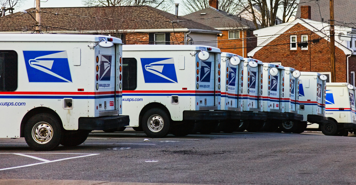 white and red van parked near bare trees during daytime