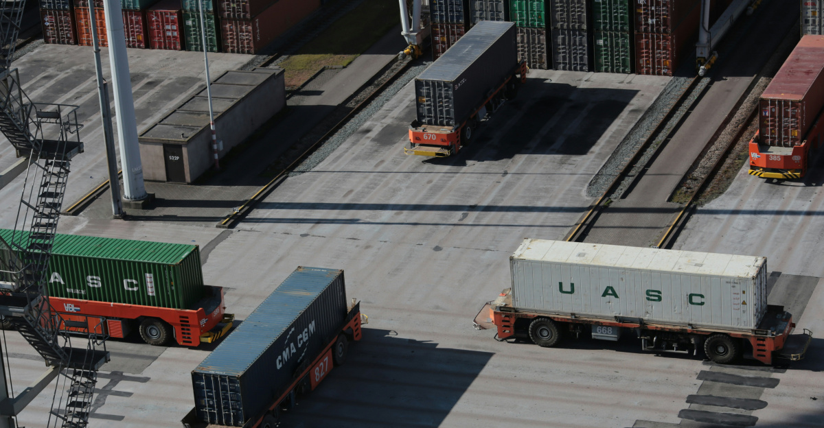 white and green bus on road during daytime