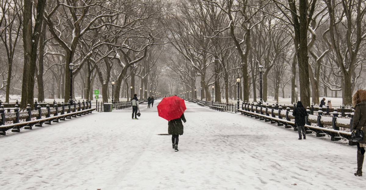 people walking on snow covered pathway between bare trees during daytime