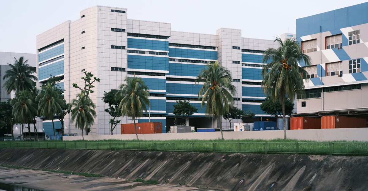 green palm trees near white concrete building during daytime