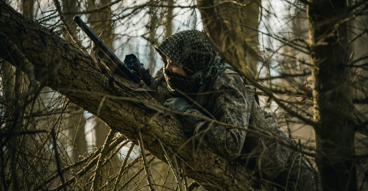 black and white leopard on brown tree branch