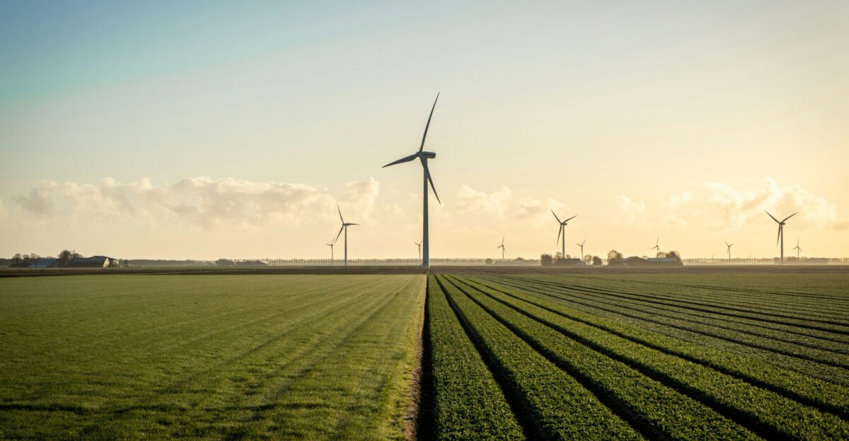 wind turbines on green grass field under blue sky during daytime