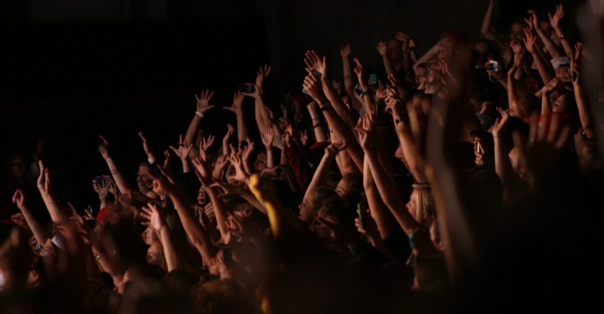 people in a concert during night time