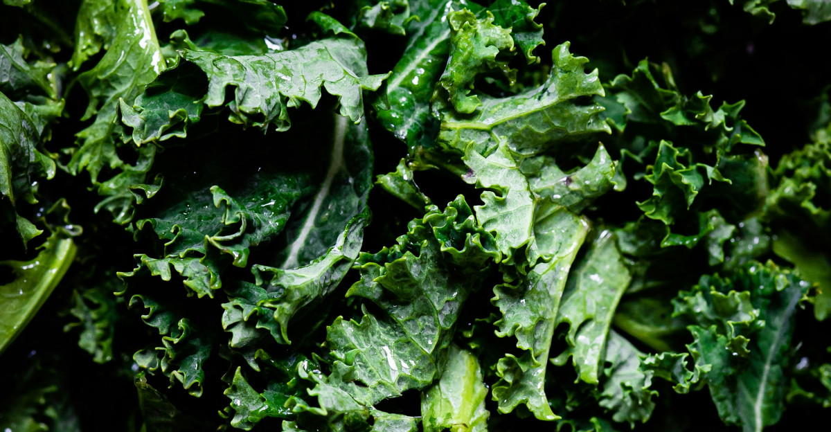 green leaves in macro lens