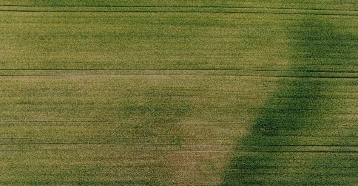 green and gray stripe textile