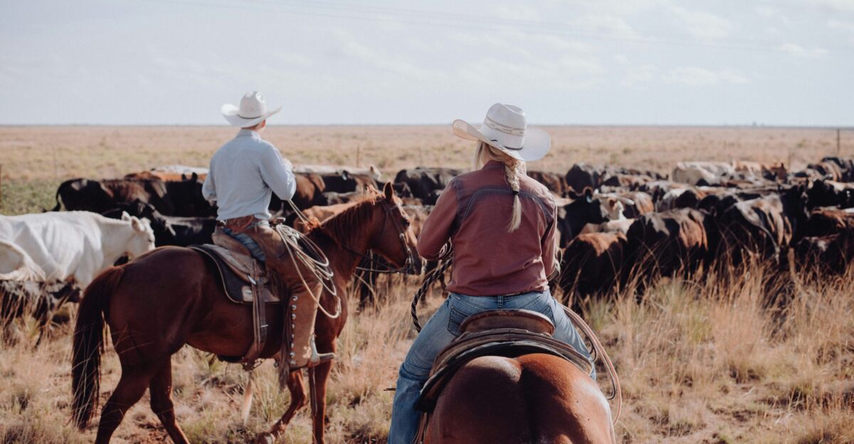 a couple of people riding on the backs of horses