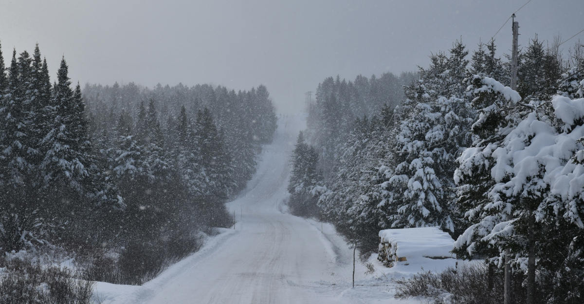 a snow covered road surrounded by pine trees