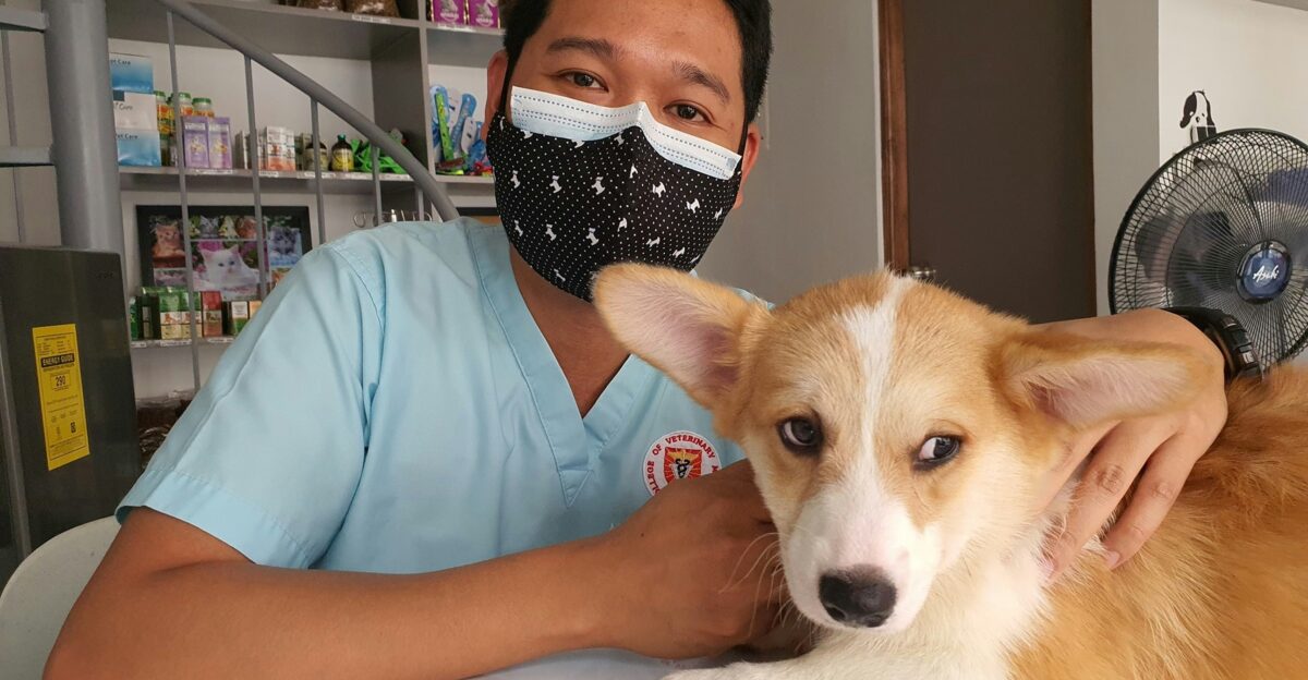 a man wearing a face mask sitting next to a dog