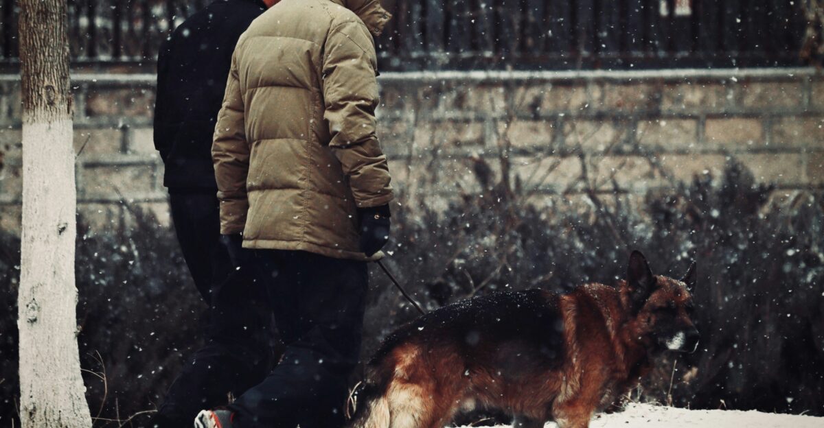 a man walking a dog in the snow
