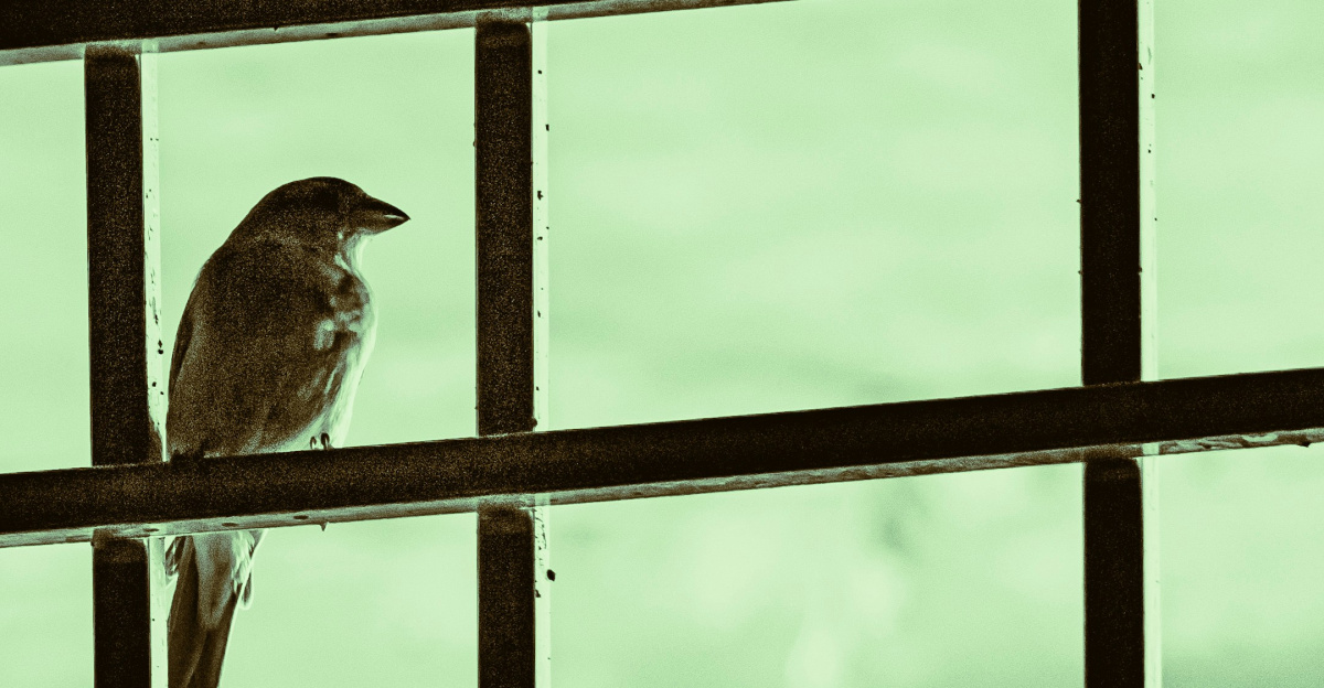 a bird sits on a window sill