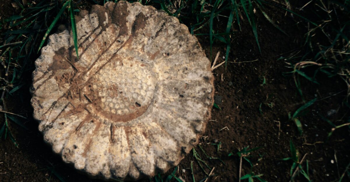 a mushroom with a face carved into it