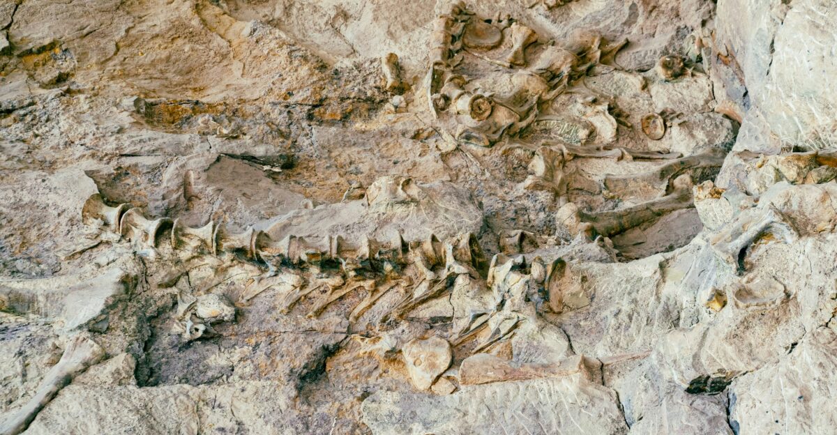 a close-up of some rocks