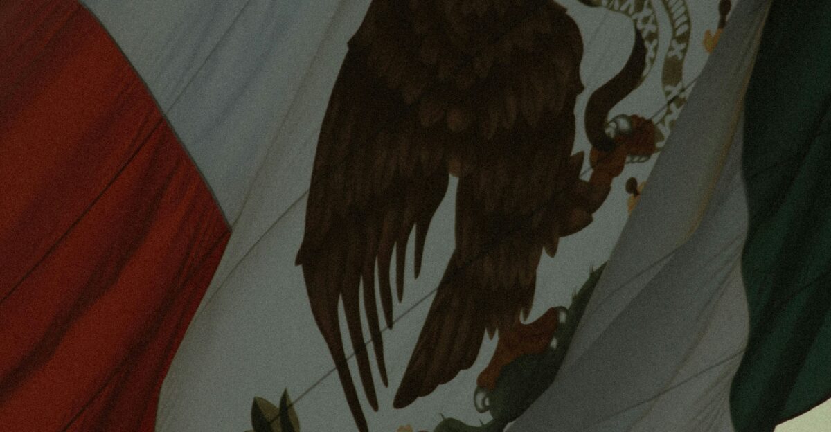 the flag of mexico is waving in the wind