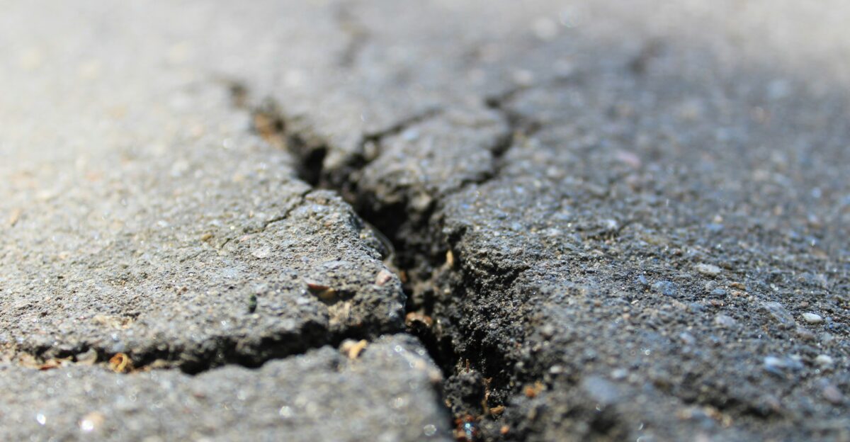 a crack in the asphalt of a road
