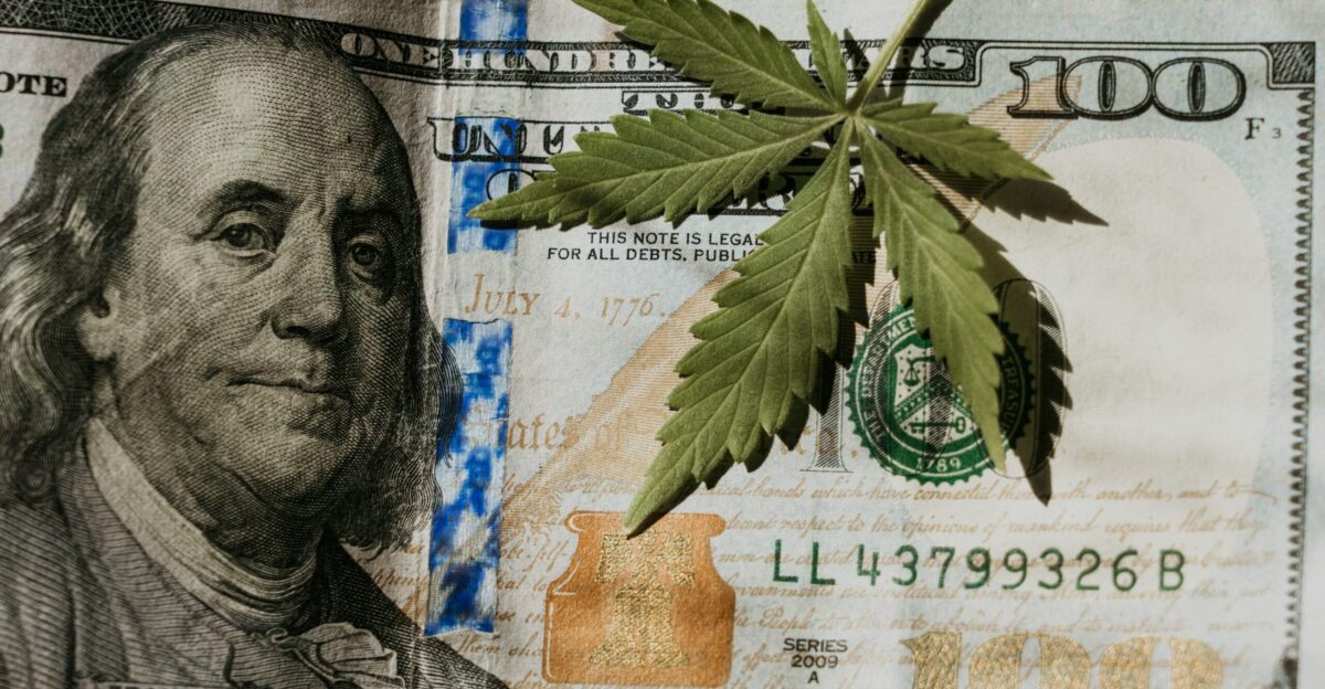 a dollar bill with a marijuana leaf sticking out of it