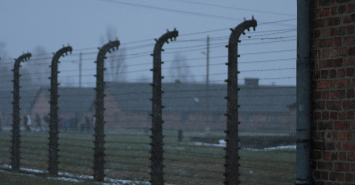 a row of barbed wire next to a brick building