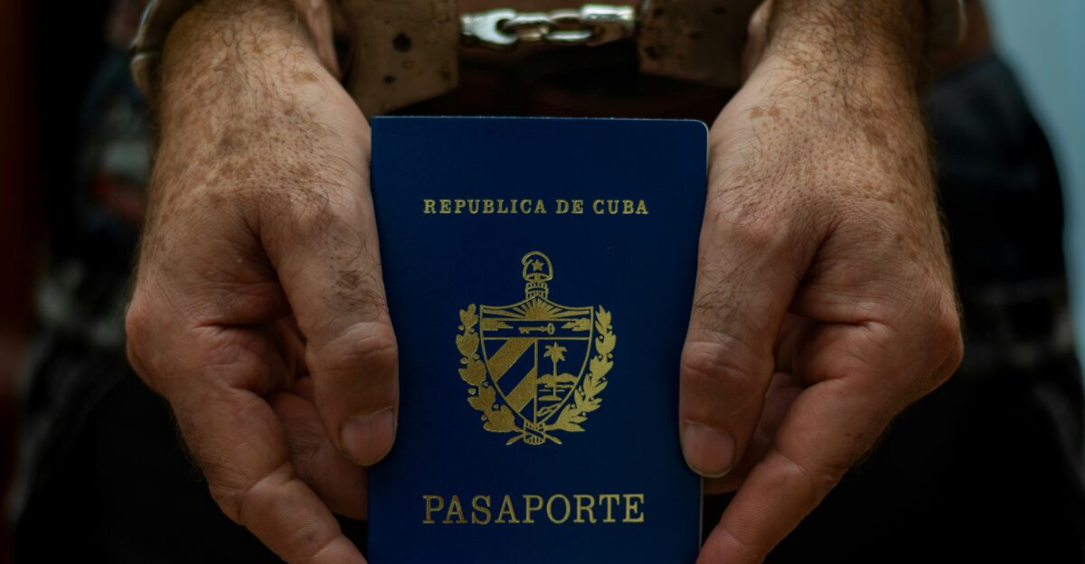 a person holding a passport in their hands