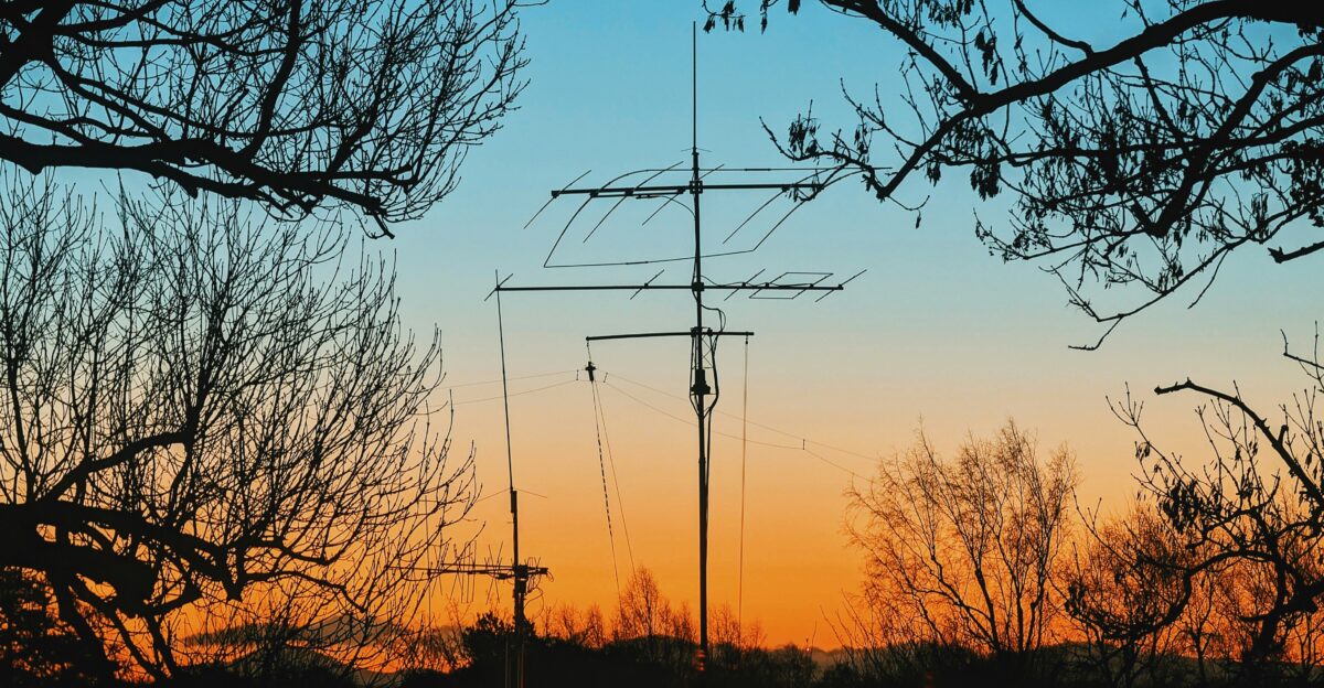 a very tall mast sitting in the middle of a forest