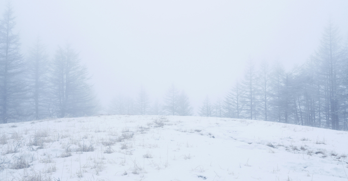 a snow covered field with trees in the background