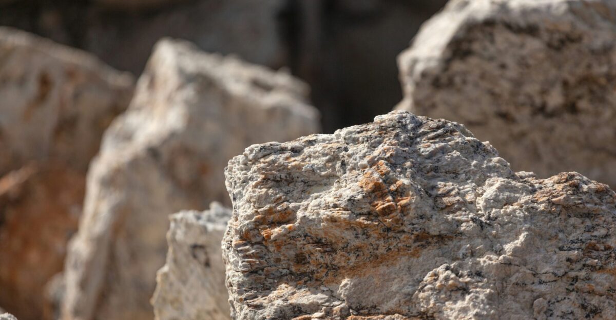 a close up of a rock with a blurry background