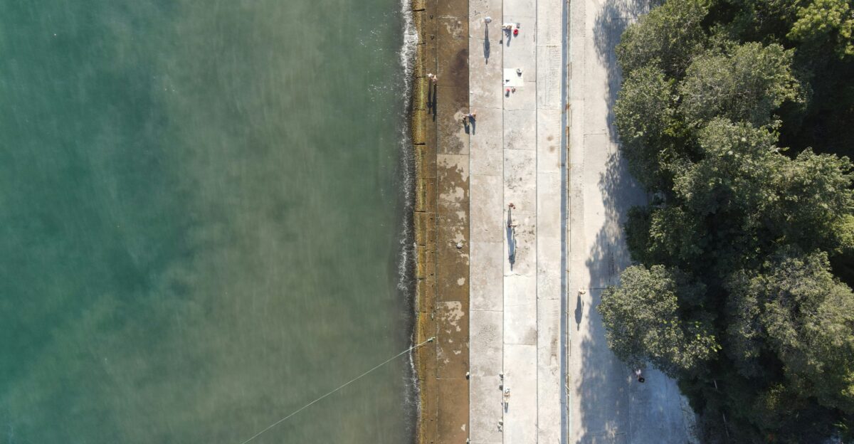 An aerial view of a sandy beach and trees