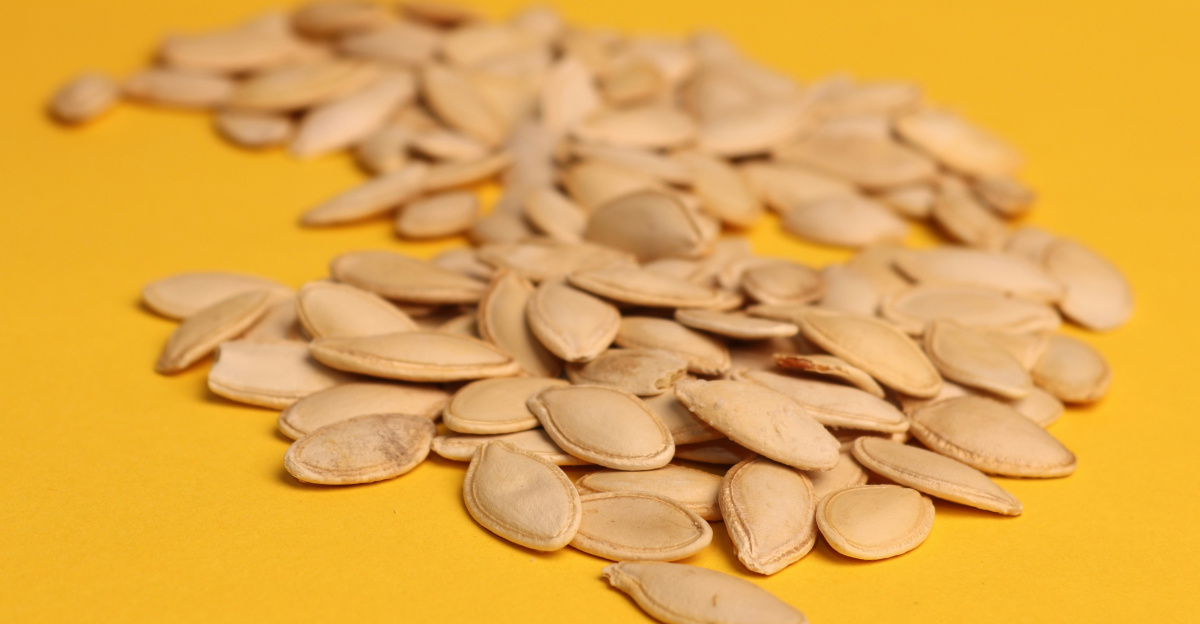 A pile of sunflower seeds on a yellow background