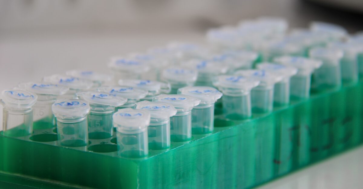 Rows of lab tubes sit in a tray