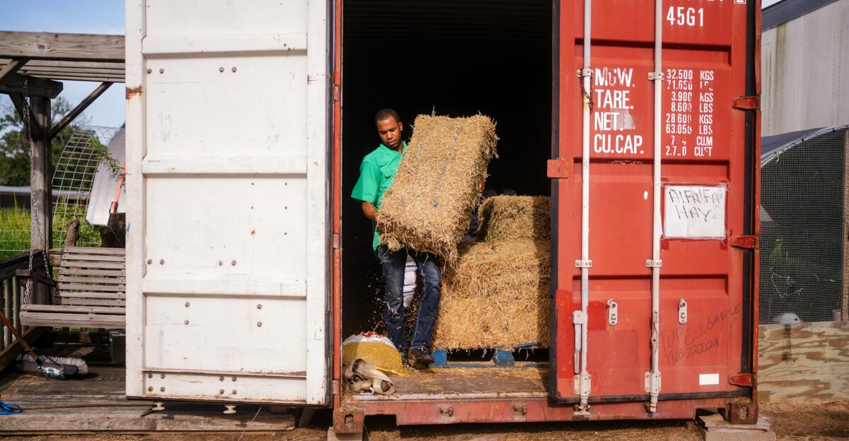 Man loading hay bales into a shipping container photo - Free