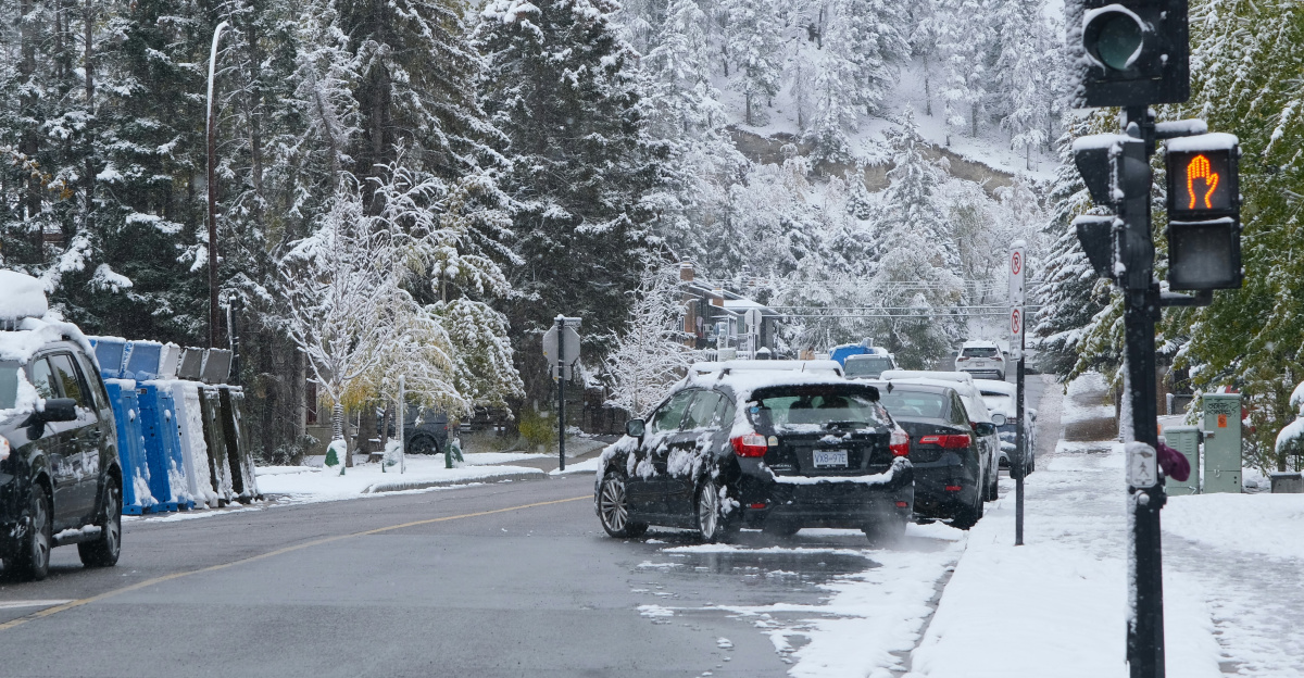Traffic light on a snowy street with cars.