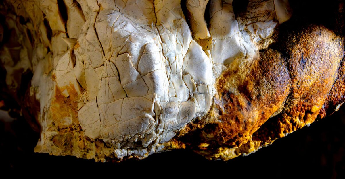 Close-up of textured cave formations with mineral deposits