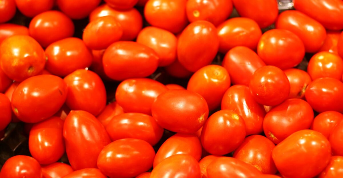 Roma tomatoes