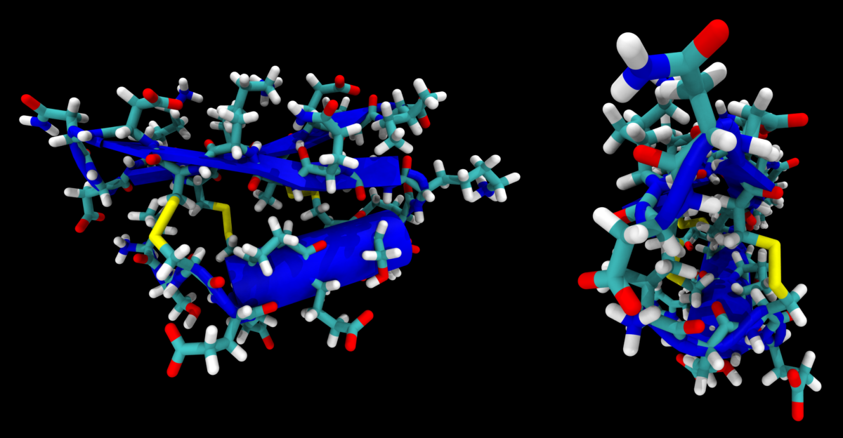 cartoon stick model of neurotoxin P01 from Androctonus mauretanicus mauretanicus Scorpion after PDB 1ACW Ref Blanc E Fremont V Sizun P et al March 1996 Solution structure of P01 a natural scorpion peptide structurally analogous to scorpion toxins specific for apamin-sensitive potassium channel Proteins 24 3 359-69 DOI 359 AID-PROT9 3 0 CO 2-B 10 1002 SICI 1097-0134 199603 24 3 359 AID-PROT9 3 0 CO 2-B PMID 8778783