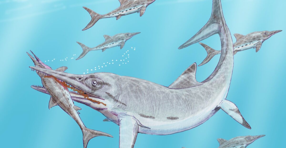 Temnodontosaurus burgundiae attack Stenopterygius hauffianus Lias of Germany