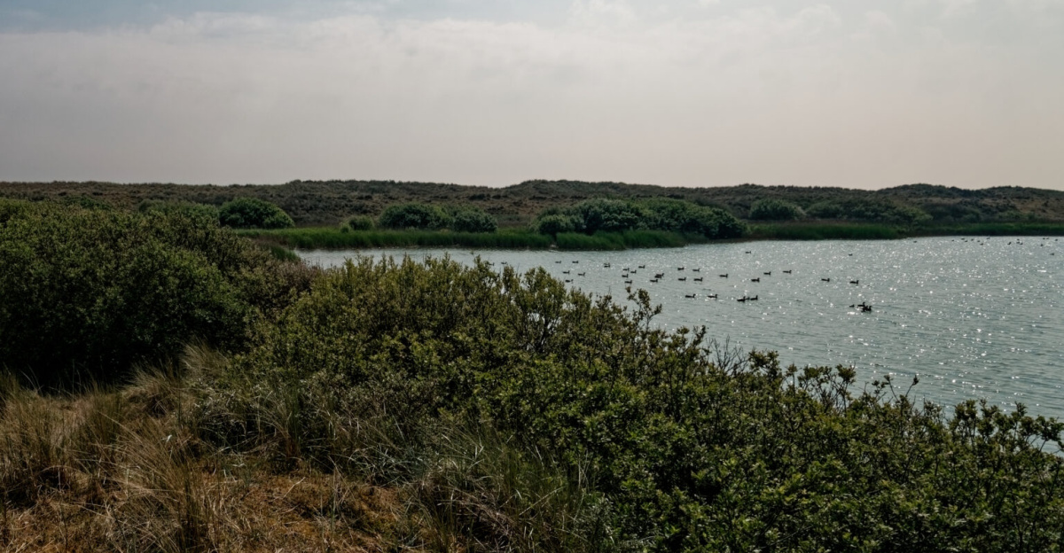 Texel - De Hors - Horsmeertjes - Panorama View from the Eastside of the freshwater pond