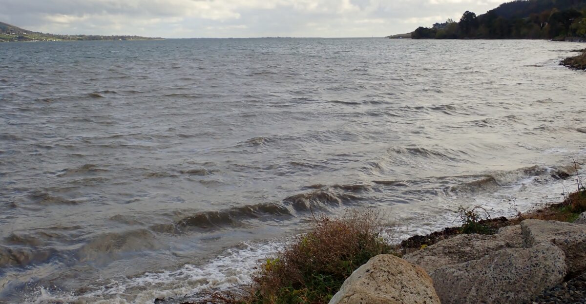 The cold waters of the Carlingford Lough